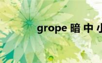 grope 暗 中 小鸟达在线观看