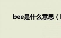 bee是什么意思（been是什么意思）