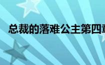 总裁的落难公主第四章（总裁的落难公主）