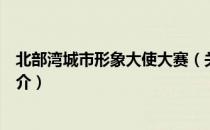 北部湾城市形象大使大赛（关于北部湾城市形象大使大赛简介）