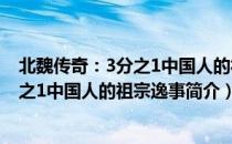 北魏传奇：3分之1中国人的祖宗逸事（关于北魏传奇：3分之1中国人的祖宗逸事简介）