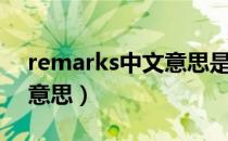 remarks中文意思是什么（remarks是什么意思）