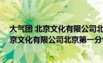 大气团 北京文化有限公司北京第一分公司（关于大气团 北京文化有限公司北京第一分公司简介）