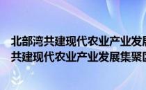 北部湾共建现代农业产业发展集聚区合作协议（关于北部湾共建现代农业产业发展集聚区合作协议简介）