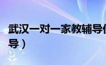 武汉一对一家教辅导价格（武汉一对一家教辅导）