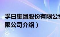 孚日集团股份有限公司（关于孚日集团股份有限公司介绍）