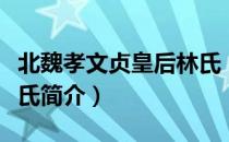 北魏孝文贞皇后林氏（关于北魏孝文贞皇后林氏简介）