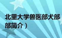 北里大学兽医部犬部（关于北里大学兽医部犬部简介）