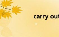 carry out（carry）