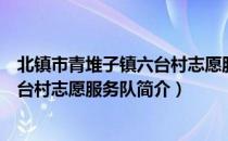 北镇市青堆子镇六台村志愿服务队（关于北镇市青堆子镇六台村志愿服务队简介）