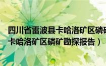 四川省雷波县卡哈洛矿区磷矿勘探报告（关于四川省雷波县卡哈洛矿区磷矿勘探报告）