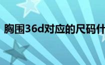 胸围36d对应的尺码什么（36d胸围尺码表）