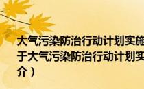 大气污染防治行动计划实施情况考核办法 试行实施细则（关于大气污染防治行动计划实施情况考核办法 试行实施细则简介）