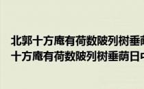 北郭十方庵有荷数陂列树垂荫日中移坐月出始归（关于北郭十方庵有荷数陂列树垂荫日中移坐月出始归简介）