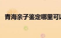 青海亲子鉴定哪里可以做（青海亲子鉴定）