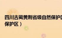 四川古蔺黄荆省级自然保护区（关于四川古蔺黄荆省级自然保护区）