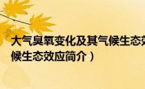 大气臭氧变化及其气候生态效应（关于大气臭氧变化及其气候生态效应简介）