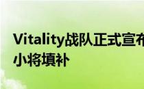 Vitality战队正式宣布队内空缺将由法国17岁小将填补