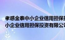 孝感金泰中小企业信用担保投资有限公司（关于孝感金泰中小企业信用担保投资有限公司介绍）