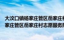 大汶口镇杨家庄管区岳家庄村志愿服务队（关于大汶口镇杨家庄管区岳家庄村志愿服务队简介）