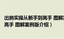 出纳实操从新手到高手 图解案例版（关于出纳实操从新手到高手 图解案例版介绍）