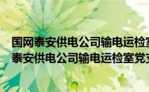 国网泰安供电公司输电运检室党支部志愿服务队（关于国网泰安供电公司输电运检室党支部志愿服务队）