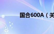 国合600A（关于国合600A）