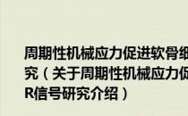 周期性机械应力促进软骨细胞增殖的Cav-1/IGF-1R信号研究（关于周期性机械应力促进软骨细胞增殖的Cav-1/IGF-1R信号研究介绍）