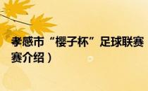 孝感市“樱子杯”足球联赛（关于孝感市“樱子杯”足球联赛介绍）