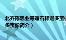 北齐陈思业等造石释迦多宝像（关于北齐陈思业等造石释迦多宝像简介）