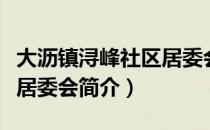 大沥镇浔峰社区居委会（关于大沥镇浔峰社区居委会简介）