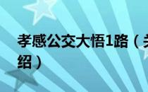 孝感公交大悟1路（关于孝感公交大悟1路介绍）