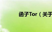 函子Tor（关于函子Tor介绍）