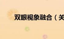 双眼视象融合（关于双眼视象融合）