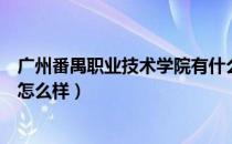 广州番禺职业技术学院有什么学院（广州番禺职业技术学院怎么样）