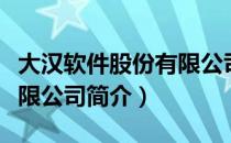 大汉软件股份有限公司（关于大汉软件股份有限公司简介）