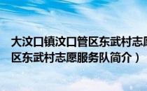 大汶口镇汶口管区东武村志愿服务队（关于大汶口镇汶口管区东武村志愿服务队简介）