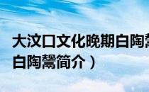 大汶口文化晚期白陶鬶（关于大汶口文化晚期白陶鬶简介）