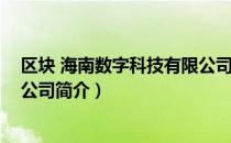 区块 海南数字科技有限公司（关于区块 海南数字科技有限公司简介）