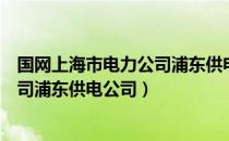 国网上海市电力公司浦东供电公司（关于国网上海市电力公司浦东供电公司）