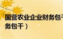 国营农业企业财务包干（关于国营农业企业财务包干）