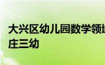 大兴区幼儿园数学领域中心组的老师们走进亦庄三幼