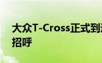 大众T-Cross正式到达 向另一辆大众SUV打招呼