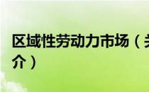 区域性劳动力市场（关于区域性劳动力市场简介）