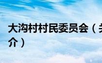 大沟村村民委员会（关于大沟村村民委员会简介）