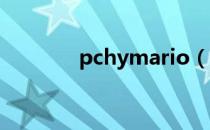 pchymario（pchy mario）