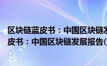 区块链蓝皮书：中国区块链发展报告(2020)（关于区块链蓝皮书：中国区块链发展报告(2020)简介）