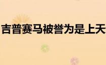 吉普赛马被誉为是上天遗忘在人间的优雅骑兽