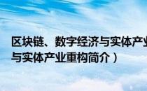 区块链、数字经济与实体产业重构（关于区块链、数字经济与实体产业重构简介）