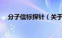 分子信标探针（关于分子信标探针介绍）